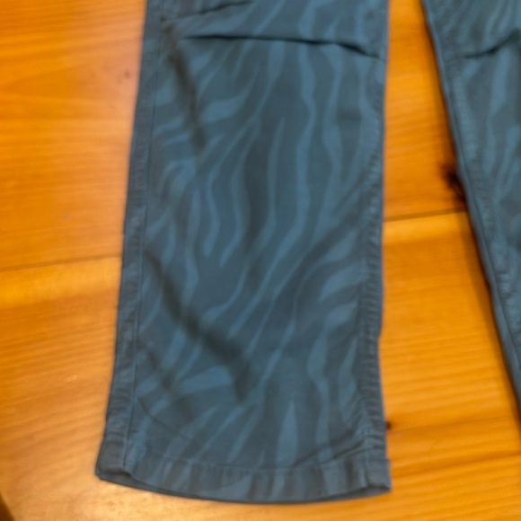 ANTHROPOLOGIE 26 Blue Zebra Print Cargo Chino Pants The Wanderer Linen Blend - Picture 5 of 10
